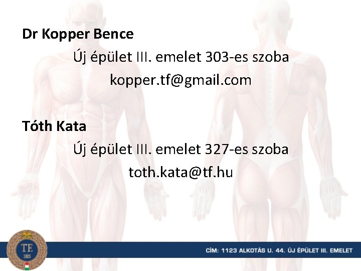 Dr Kopper Bence Új épület III. emelet 303 -es szoba kopper. tf@gmail. com Tóth