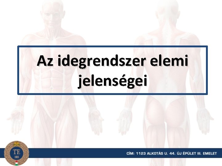 Az idegrendszer elemi jelenségei 