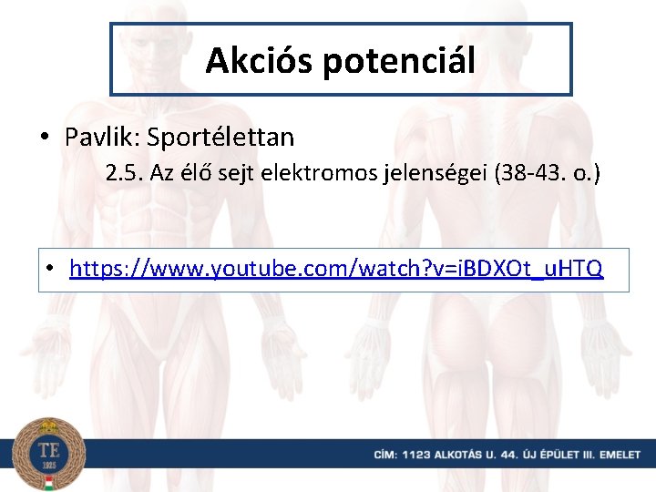 Akciós potenciál • Pavlik: Sportélettan 2. 5. Az élő sejt elektromos jelenségei (38 -43.