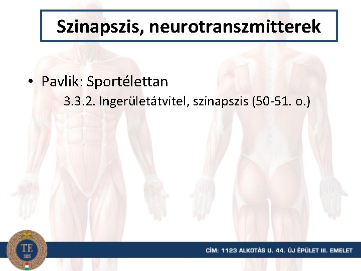 Szinapszis, neurotranszmitterek • Pavlik: Sportélettan 3. 3. 2. Ingerületátvitel, szinapszis (50 -51. o. )