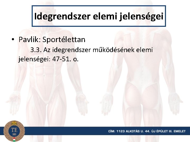 Idegrendszer elemi jelenségei • Pavlik: Sportélettan 3. 3. Az idegrendszer működésének elemi jelenségei: 47