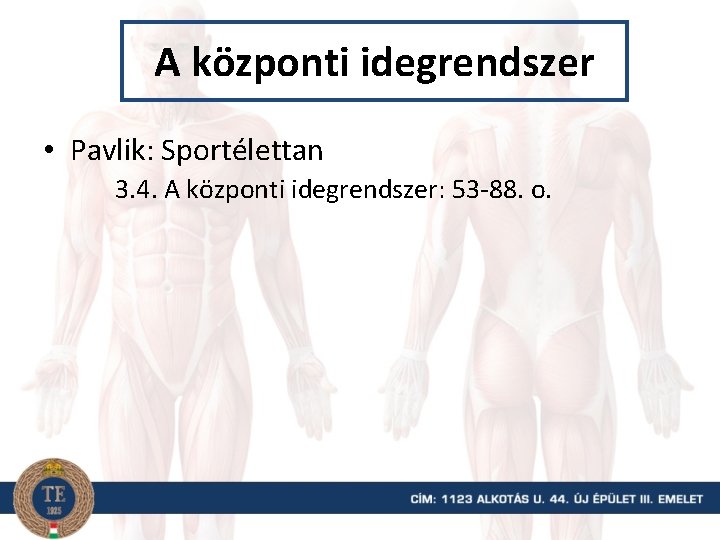 A központi idegrendszer • Pavlik: Sportélettan 3. 4. A központi idegrendszer: 53 -88. o.