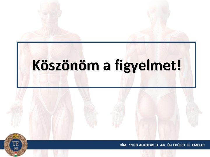 Köszönöm a figyelmet! 