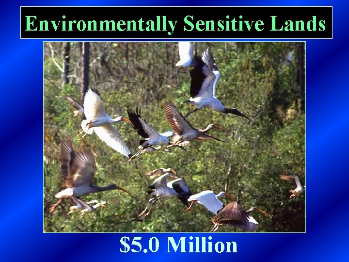 Environmentally Sensitive Lands $5. 0 Million 