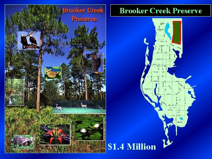 Brooker Creek Preserve $1. 4 Million 