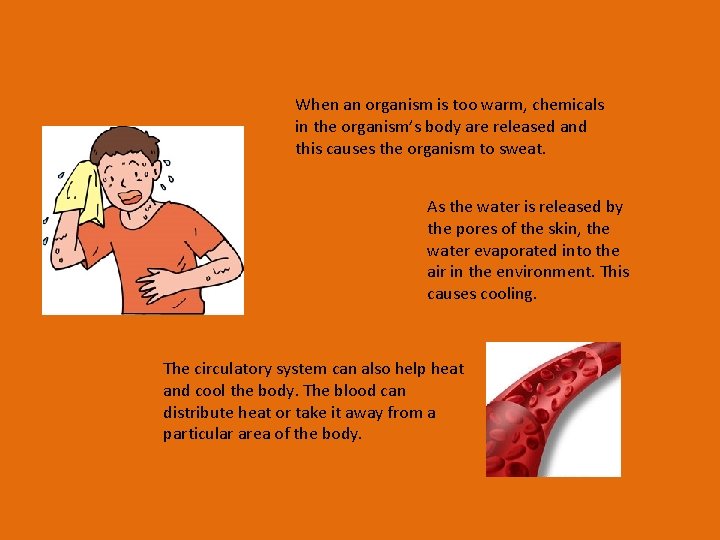 When an organism is too warm, chemicals in the organism’s body are released and