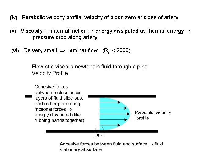 (iv) Parabolic velocity profile: velocity of blood zero at sides of artery (v) Viscosity