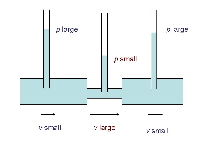 p large p small v large v small 