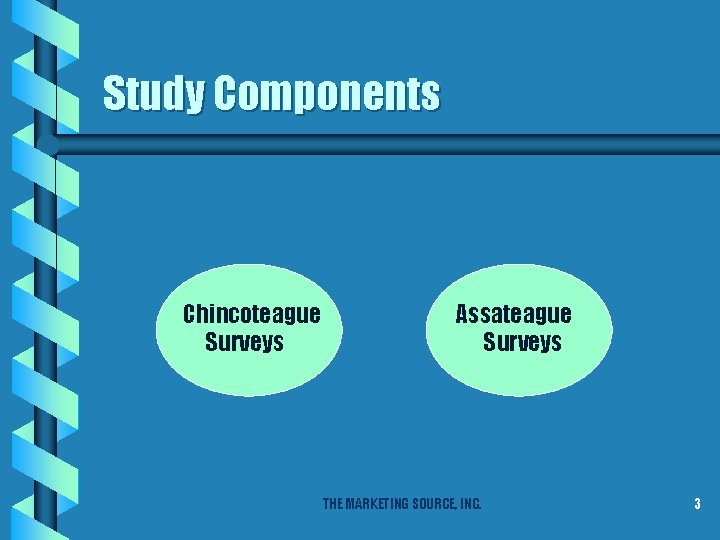 Study Components Chincoteague Surveys Assateague Surveys THE MARKETING SOURCE, INC. 3 