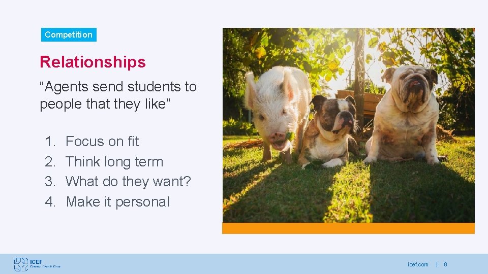 Competition Relationships “Agents send students to people that they like” 1. 2. 3. 4.