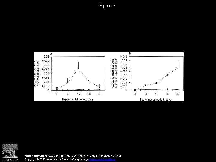 Figure 3 Kidney International 2000 581481 -1491 DOI: (10. 1046/j. 1523 -1755. 2000. 00310.