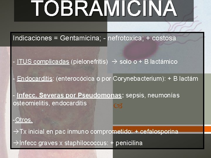 TOBRAMICINA Indicaciones = Gentamicina; - nefrotoxica; + costosa - ITUS complicadas (pielonefritis) solo o