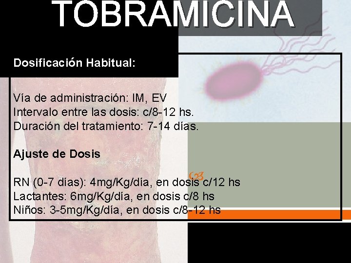 TOBRAMICINA Dosificación Habitual: Vía de administración: IM, EV Intervalo entre las dosis: c/8 -12
