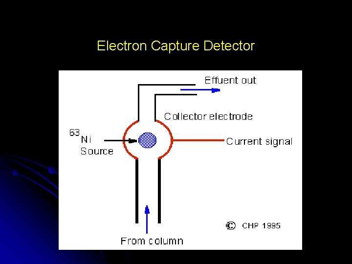Electron Capture Detector 