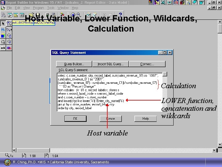 Host Variable, Lower Function, Wildcards, Calculation 5 Calculation LOWER function, concatenation and wildcards Host