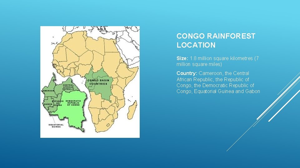 CONGO RAINFOREST LOCATION Size: 1. 8 million square kilometres (7 million square miles) Country: