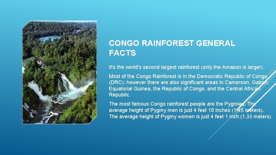 CONGO RAINFOREST GENERAL FACTS It's the world's second largest rainforest (only the Amazon is