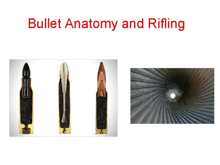 Bullet Anatomy and Rifling 