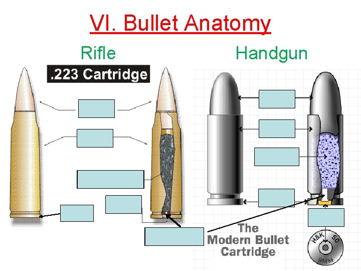 VI. Bullet Anatomy Handgun Rifle Rim Flash Hole 