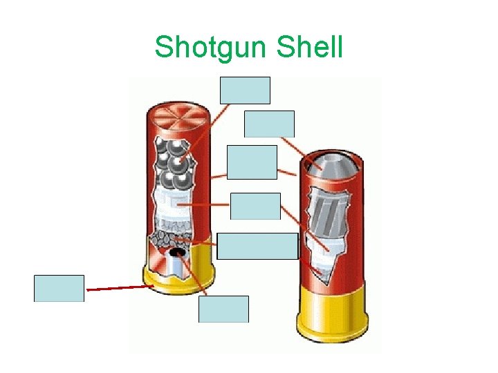 Shotgun Shell rim 