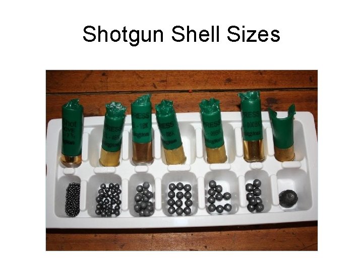 Shotgun Shell Sizes 