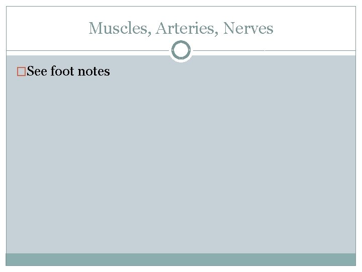 Muscles, Arteries, Nerves �See foot notes 