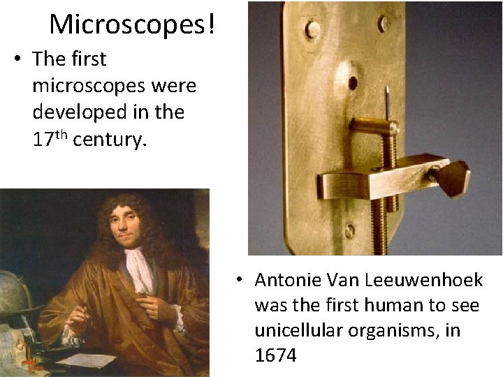Microscopes! • The first microscopes were developed in the 17 th century. • Antonie