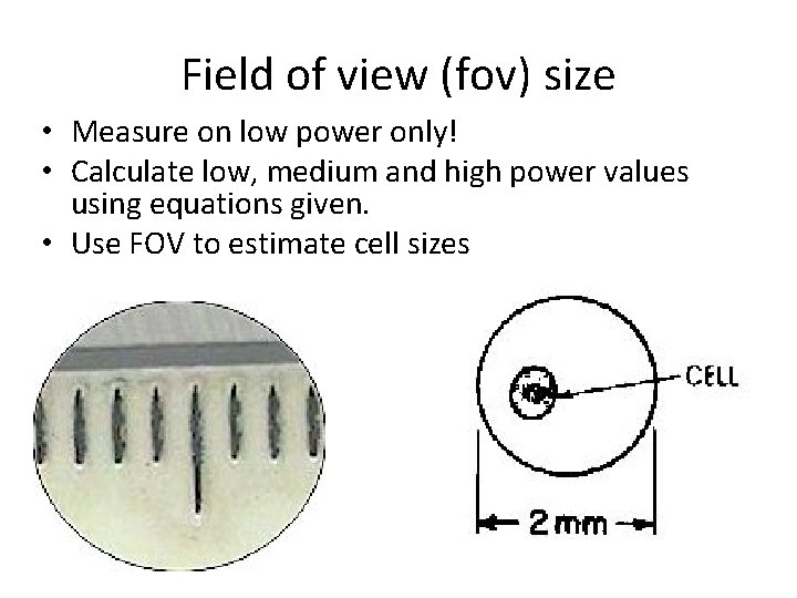 Field of view (fov) size • Measure on low power only! • Calculate low,
