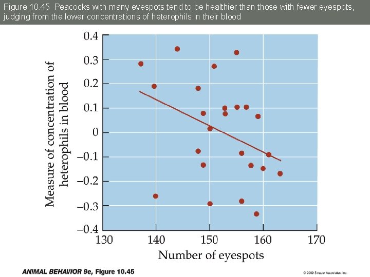 Figure 10. 45 Peacocks with many eyespots tend to be healthier than those with