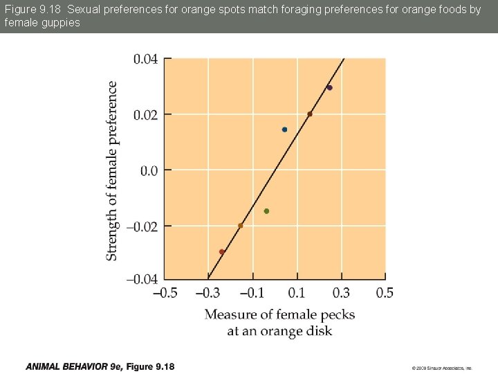 Figure 9. 18 Sexual preferences for orange spots match foraging preferences for orange foods