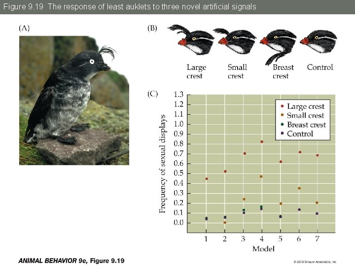 Figure 9. 19 The response of least auklets to three novel artificial signals 