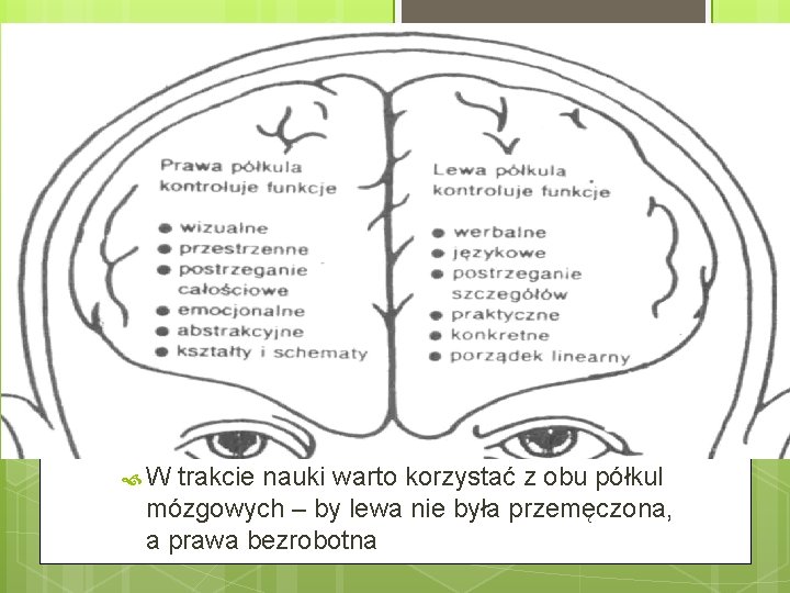  W trakcie nauki warto korzystać z obu półkul mózgowych – by lewa nie