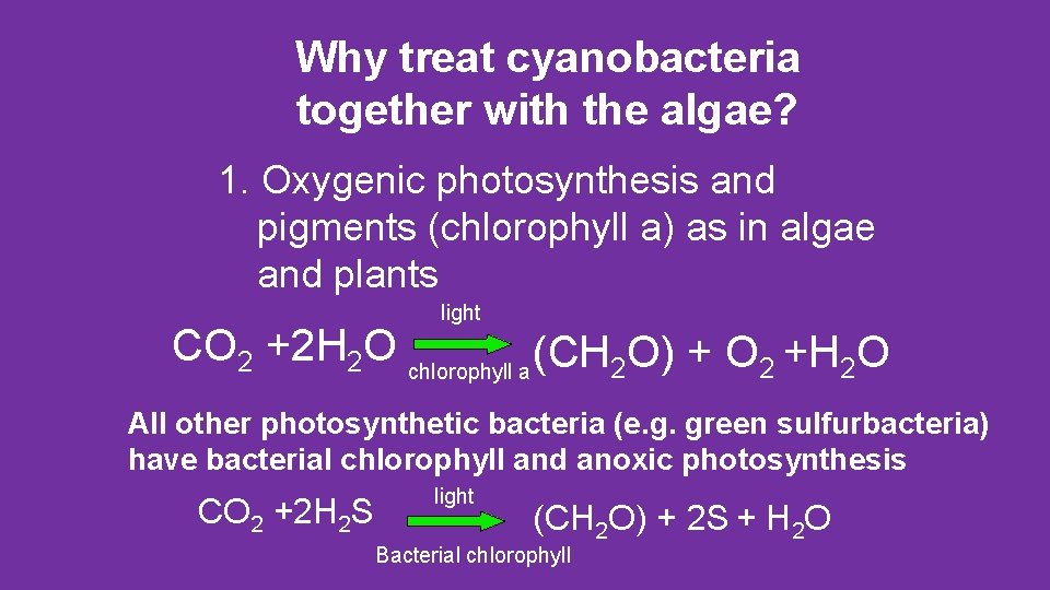 Why treat cyanobacteria together with the algae? 1. Oxygenic photosynthesis and pigments (chlorophyll a)