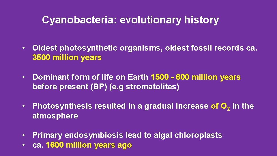 Cyanobacteria: evolutionary history • Oldest photosynthetic organisms, oldest fossil records ca. 3500 million years