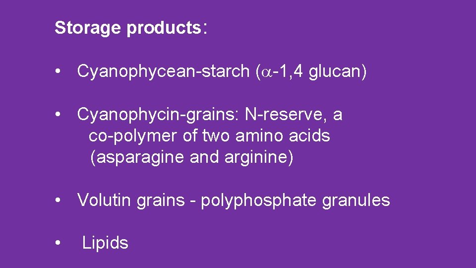 Storage products: • Cyanophycean-starch ( -1, 4 glucan) • Cyanophycin-grains: N-reserve, a co-polymer of