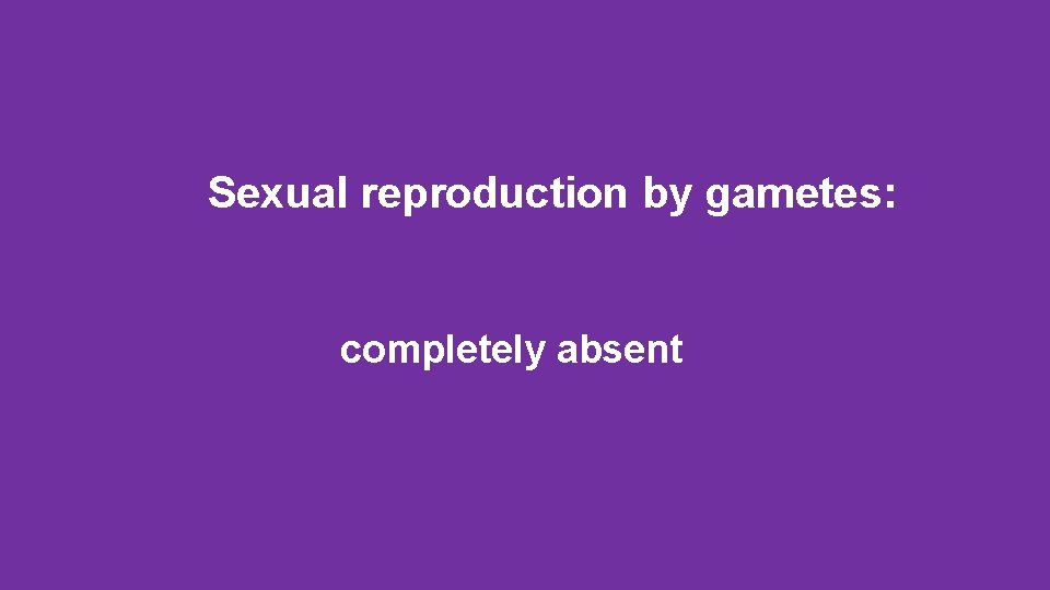 Sexual reproduction by gametes: completely absent 