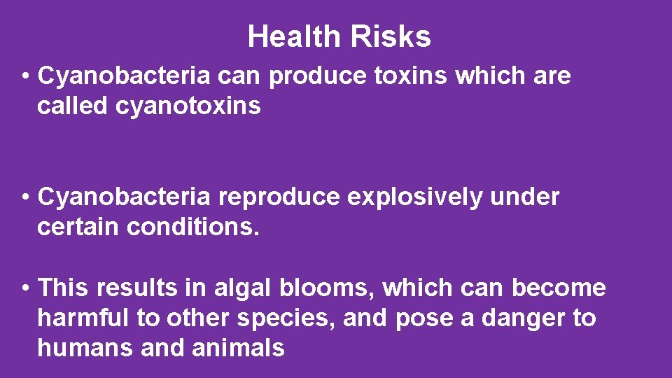 Health Risks • Cyanobacteria can produce toxins which are called cyanotoxins • Cyanobacteria reproduce