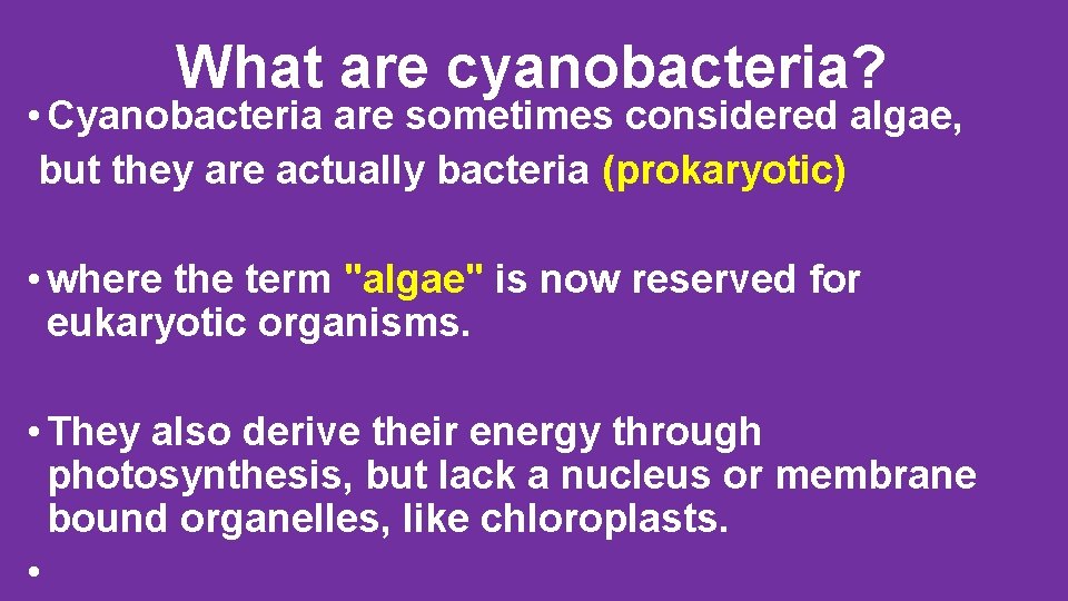 What are cyanobacteria? • Cyanobacteria are sometimes considered algae, but they are actually bacteria