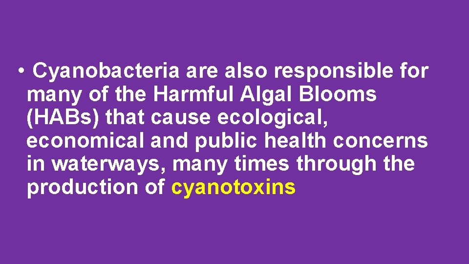  • Cyanobacteria are also responsible for many of the Harmful Algal Blooms (HABs)