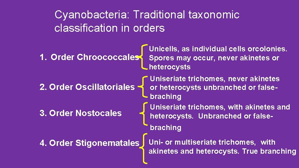 Cyanobacteria: Traditional taxonomic classification in orders 1. Order Chroococcales 2. Order Oscillatoriales 3. Order