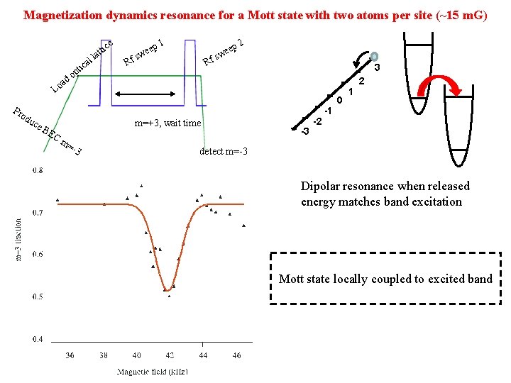 Magnetization dynamics resonance for a Mott state with two atoms per site (~15 m.