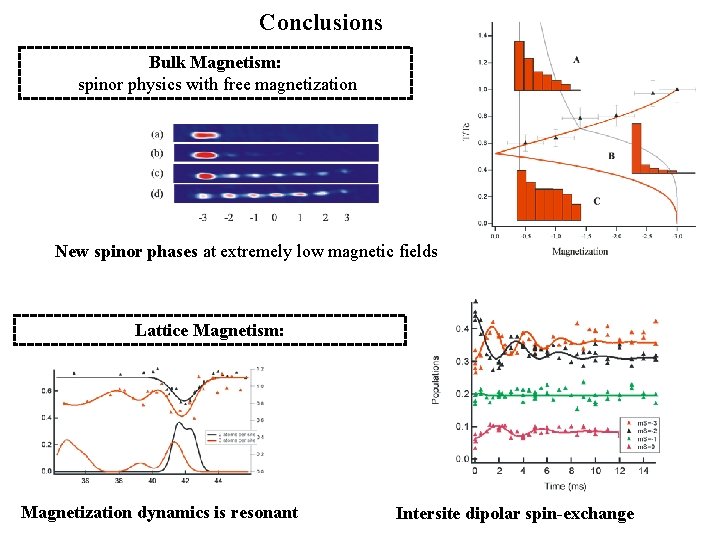 Conclusions Bulk Magnetism: spinor physics with free magnetization New spinor phases at extremely low