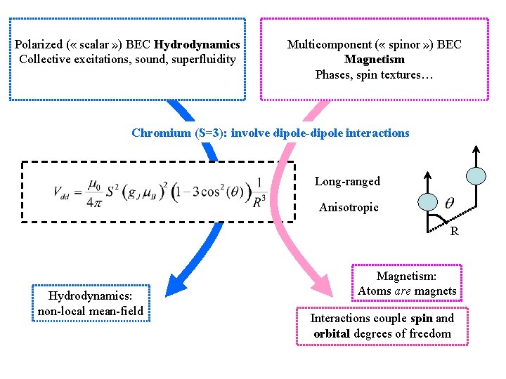 Polarized ( « scalar » ) BEC Hydrodynamics Collective excitations, sound, superfluidity Multicomponent (