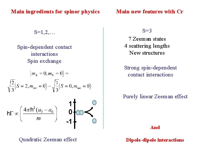 Main ingredients for spinor physics S=1, 2, … Spin-dependent contact interactions Spin exchange Main