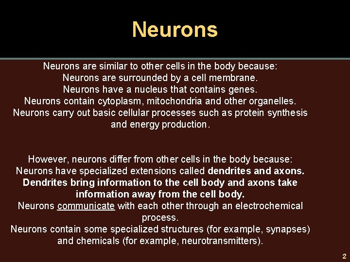 Neurons are similar to other cells in the body because: Neurons are surrounded by