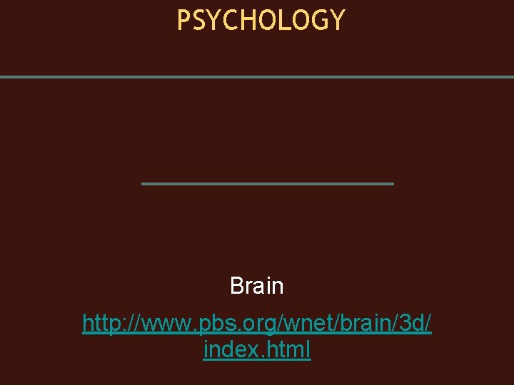 PSYCHOLOGY Brain http: //www. pbs. org/wnet/brain/3 d/ index. html 