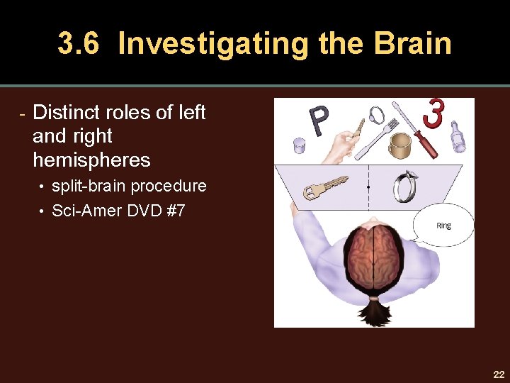 3. 6 Investigating the Brain - Distinct roles of left and right hemispheres •
