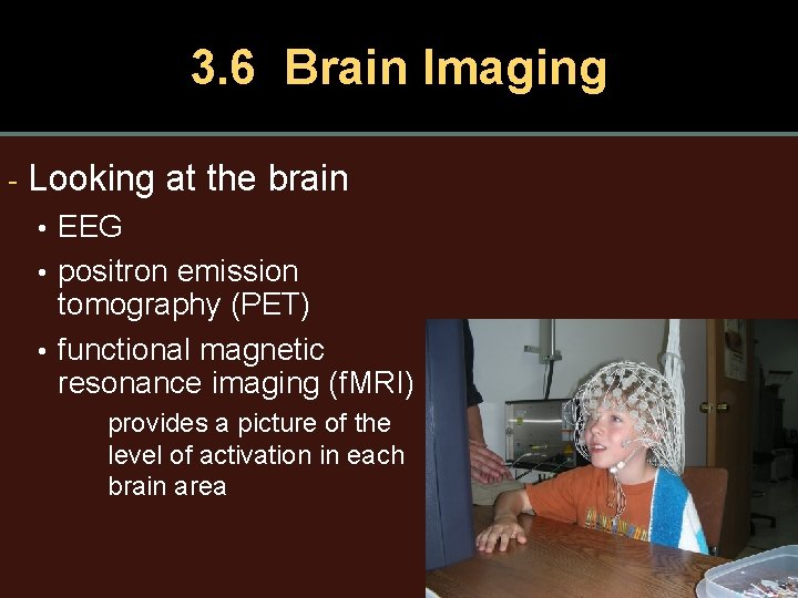 3. 6 Brain Imaging - Looking at the brain • EEG • positron emission