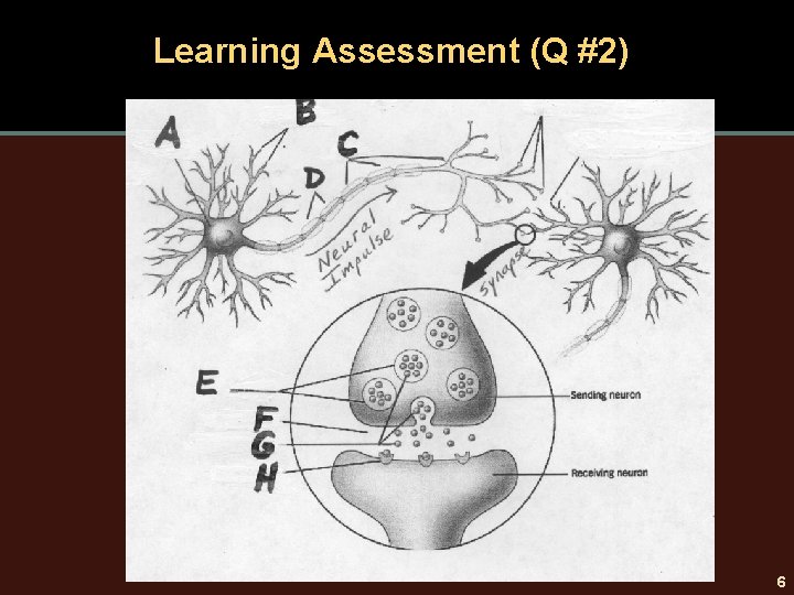 Learning Assessment (Q #2) 6 