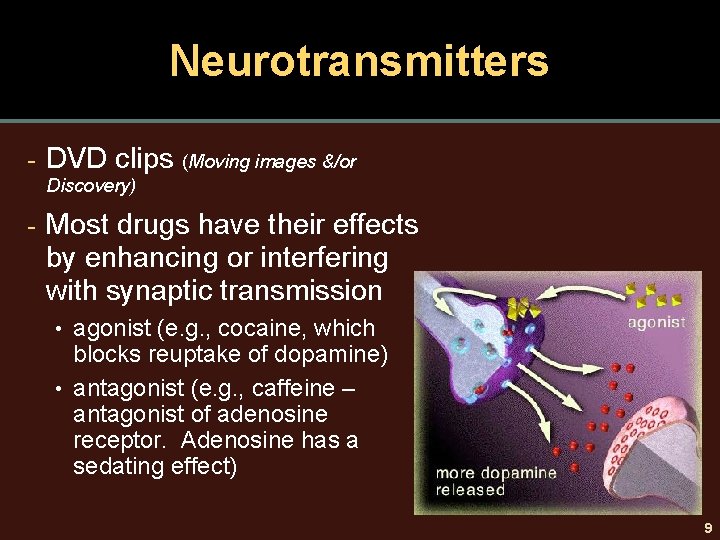 Neurotransmitters - DVD clips (Moving images &/or Discovery) - Most drugs have their effects